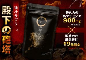 【雑談】サプリメント「殿下の砲塔」おすすめしない。○○王がいい！