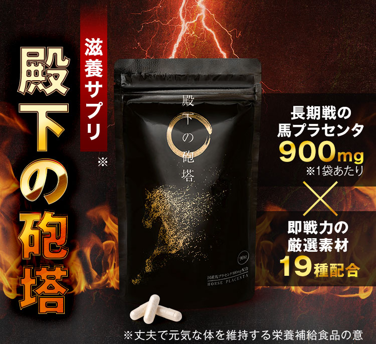 【雑談】サプリメント「殿下の砲塔」おすすめしない。○○王がいい!
