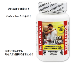 オダークレンズで快適な毎日！体臭・加齢臭・汗臭いの悩みを解決